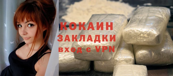 сатива Коряжма
