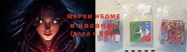 сатива Коряжма