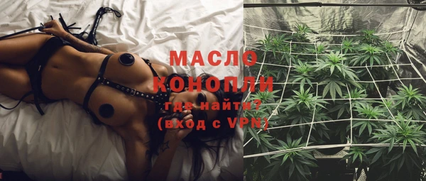 сатива Коряжма