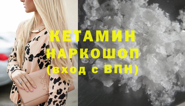 сатива Коряжма