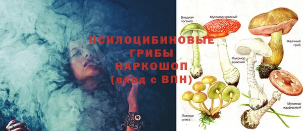 сатива Коряжма
