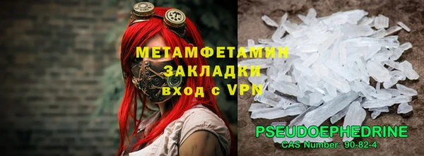 сатива Коряжма